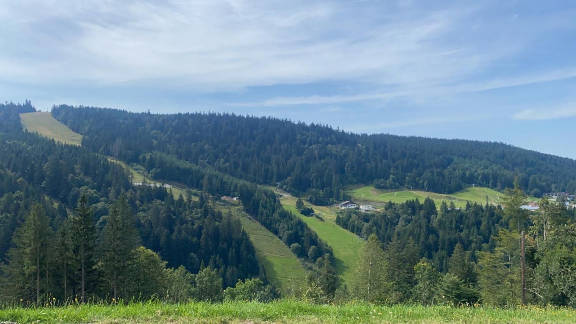 Appartement Sur Les Hauteurs De Gerardmer Exterior photo